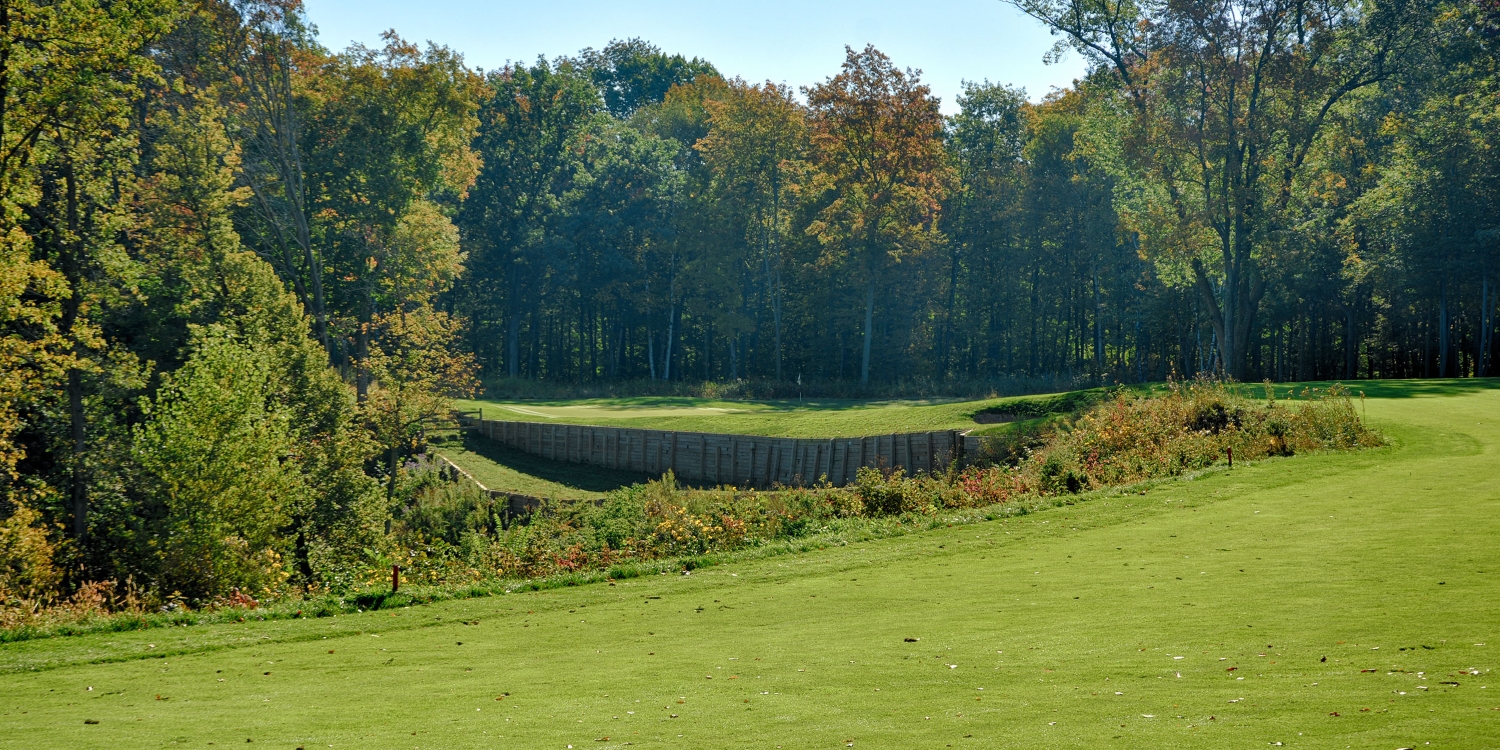 The Bull At Pinehurst Farms